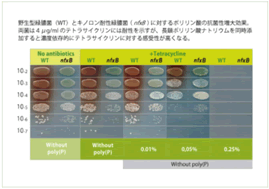 図6