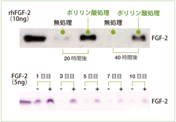 図1