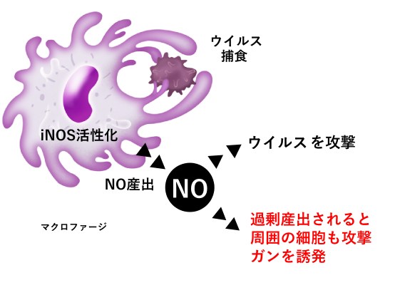 図2